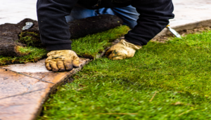 Types of Turf for Your AZ Landscape - ELS Maintenance & Construction