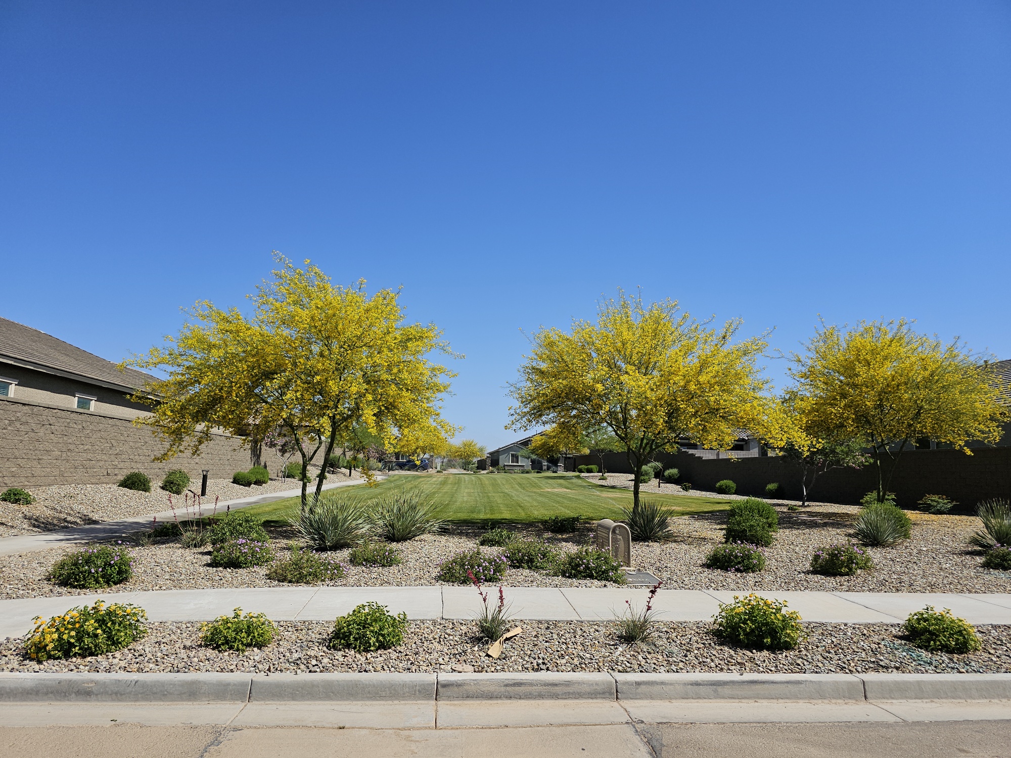 Award of Excellence for Commercial Landscaping