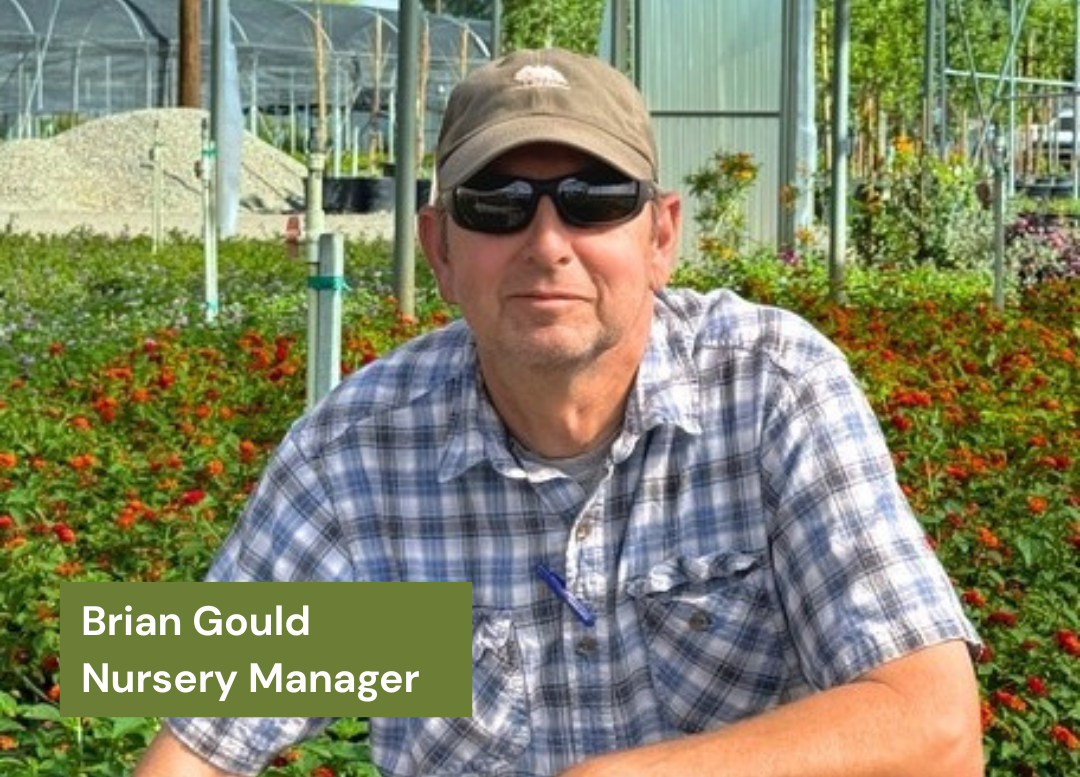 Brian Gould Nursery Manager