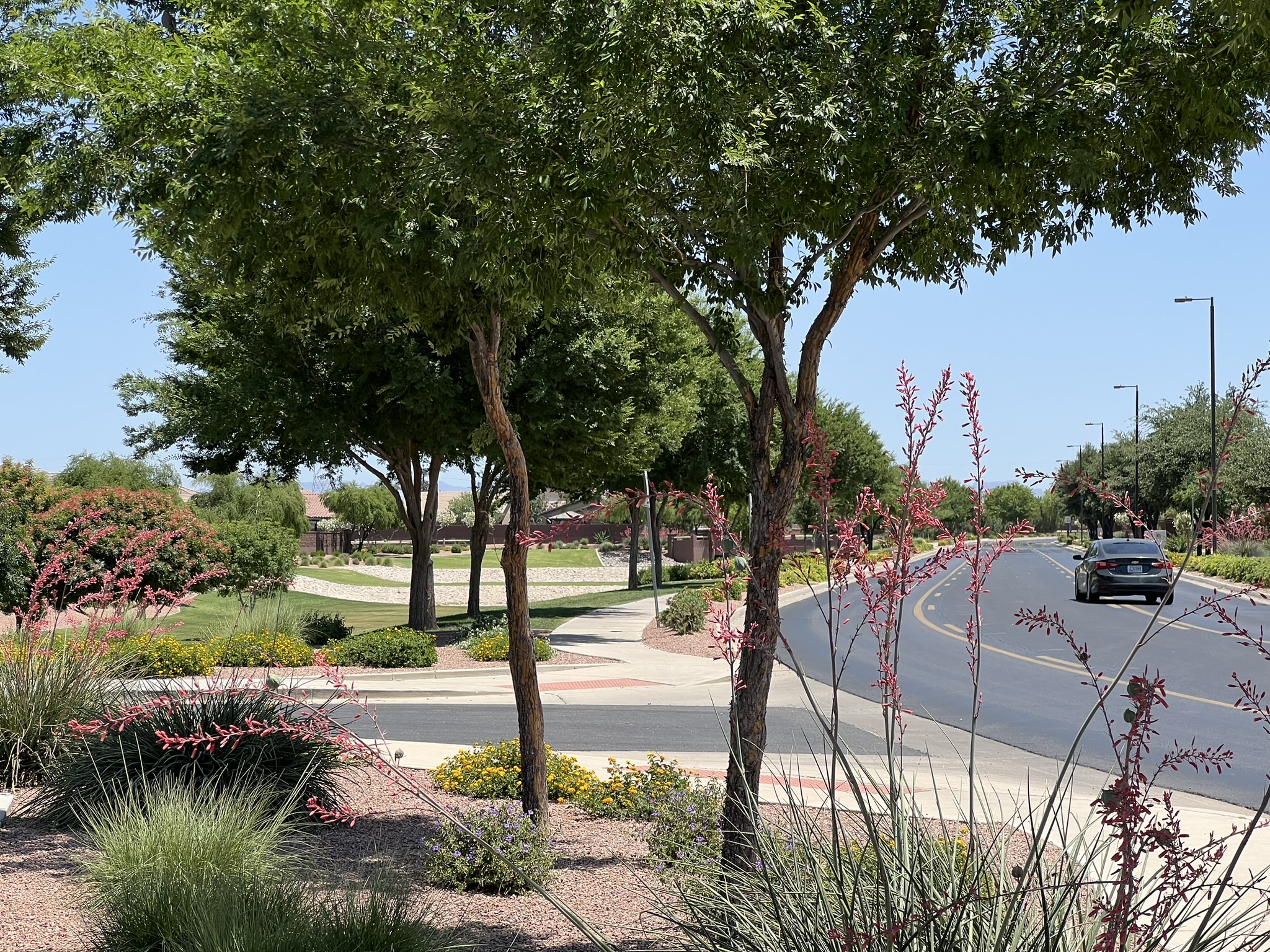 Ironwood Crossing Award of Distinction For Commercial Maintenance