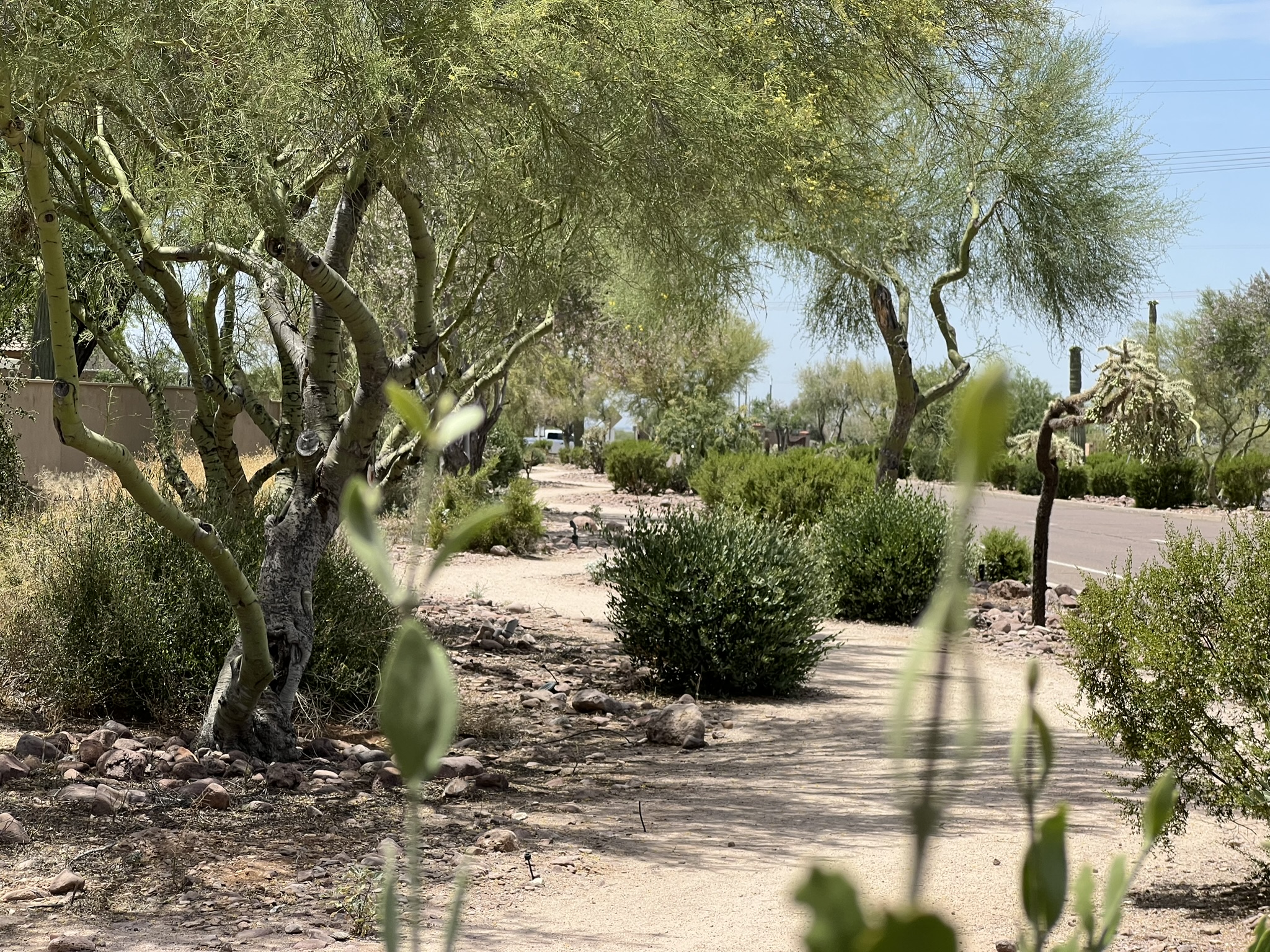 Superstition Foothills Award of Excellence for Commercial Maintenance