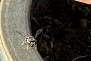 IMG_1596